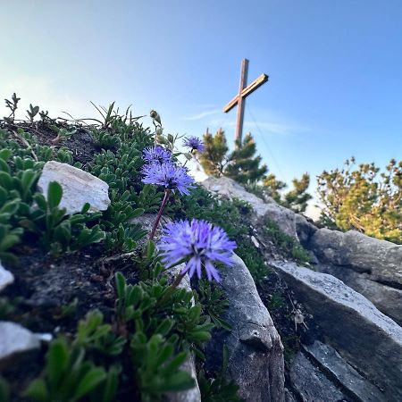 Ferienwohnung Gasser Hahnenkamm Blick Reutte Eksteriør bilde